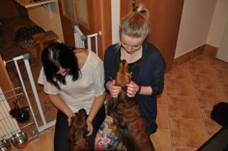 Jamniki d�ugow�ose 